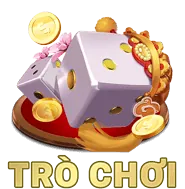 Tối ưu hóa cho Việt Nam